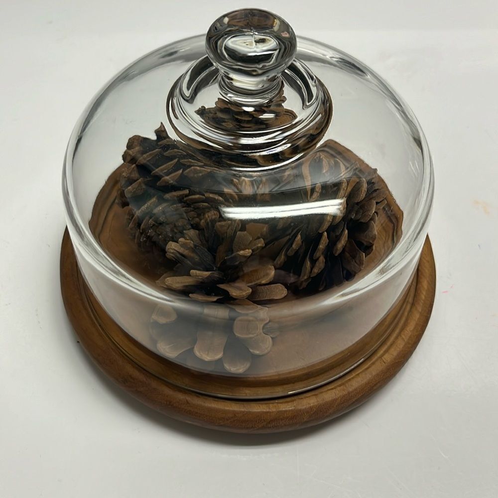 Good Wood Genuine Teak Base with Glass Cloche Dome Pinecones Farmhouse Nature